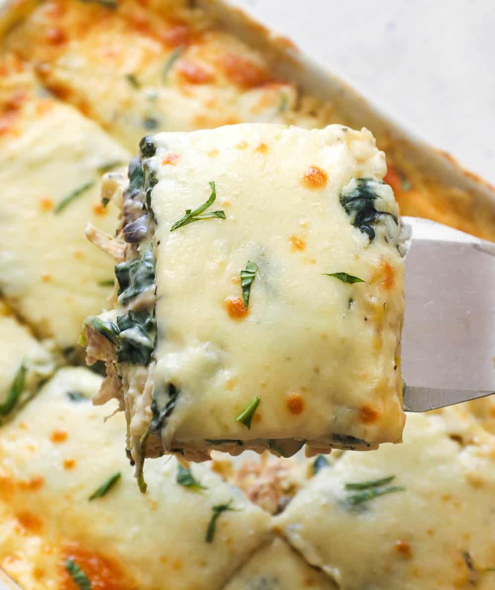 Creamy and cheese chicken lasagna