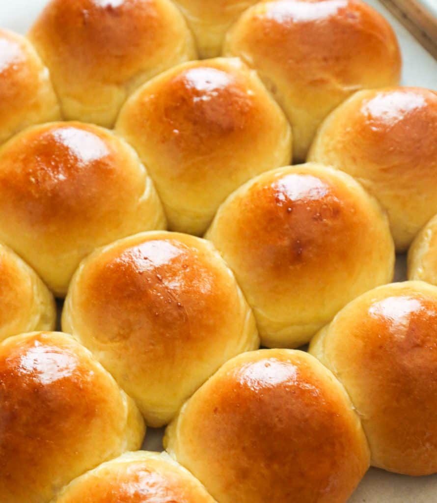 Homemade Potato Rolls