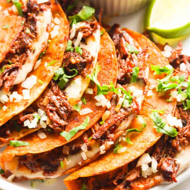 A plateful of beef birria tacos