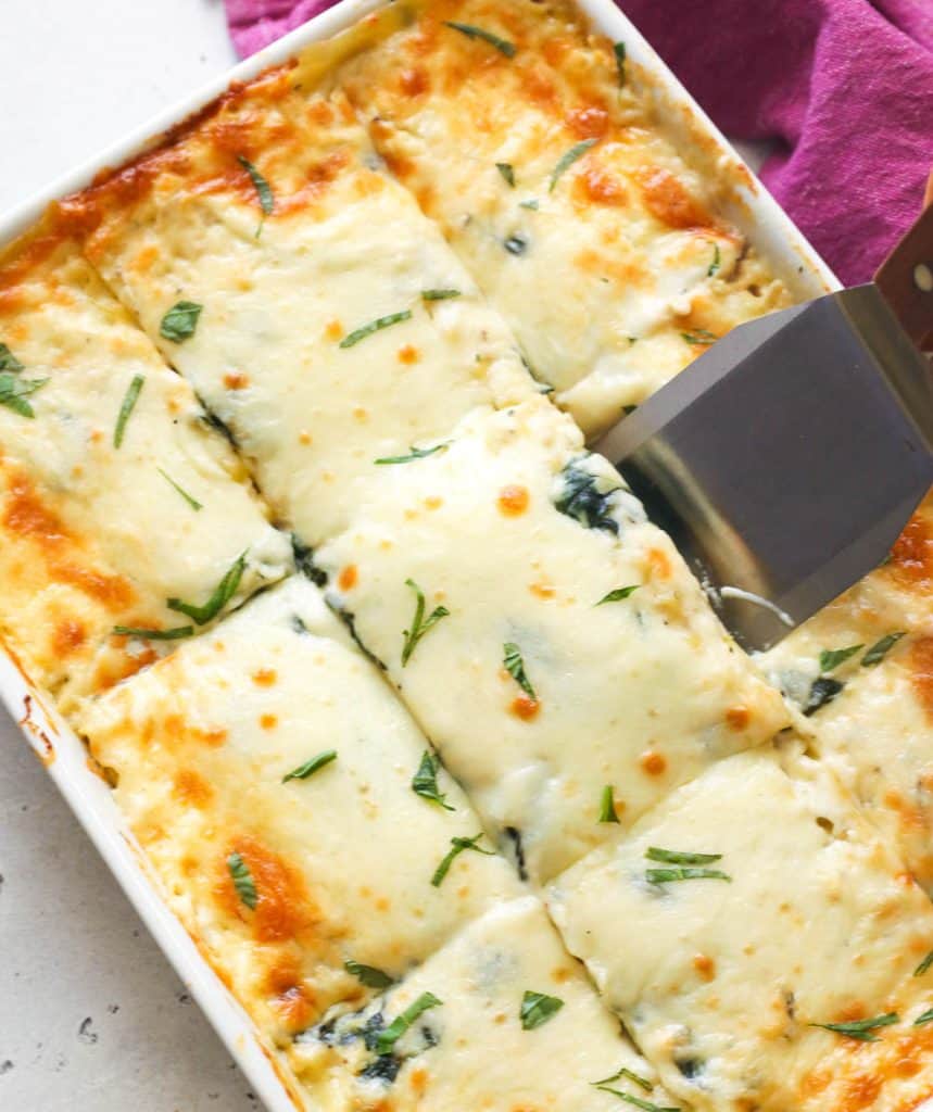 Chicken Lasagna