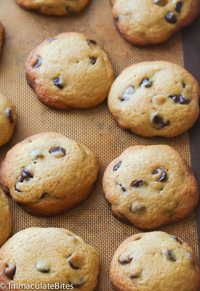 Soft Chocolate Chip Cookie